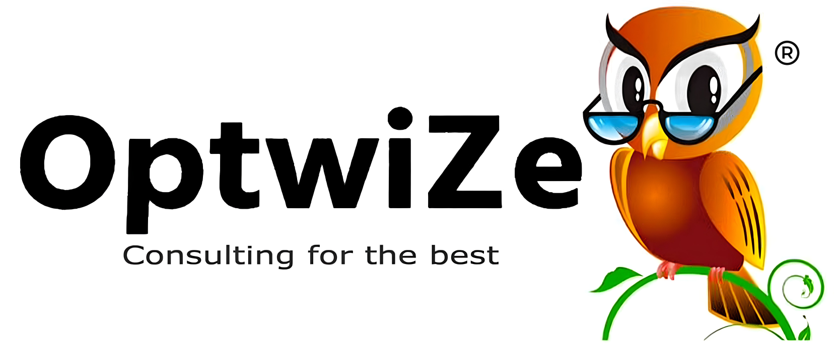 OptwiZe Logo